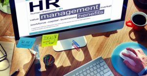 an employee explores hr software online