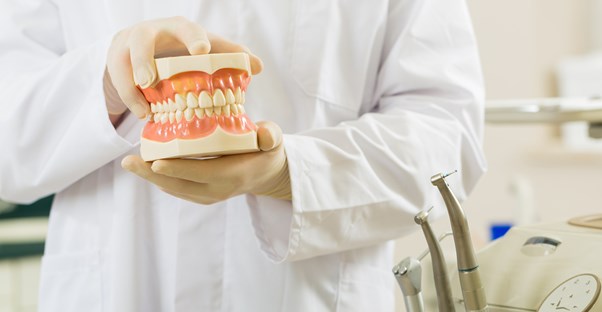 a dentist holds a model mouth to demonstrate dentures
