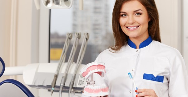 a dental hygienist holds a model of a mouth