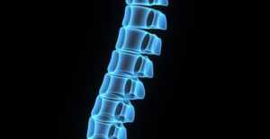 a computer generated spine image to symbolize spine pain