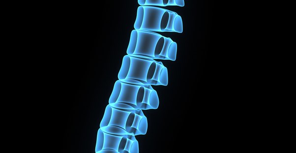 a computer generated spine image to symbolize spine pain